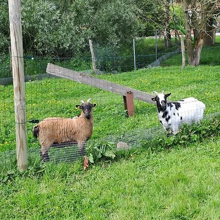Monts De Flandre Insolite * Berthen