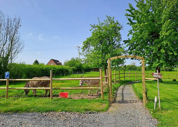 Camping Monts De Flandre Insolite *