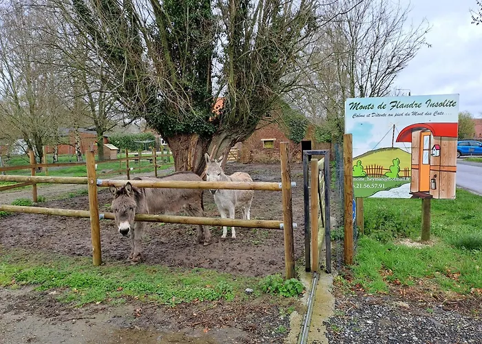 Monts De Flandre Insolite * Berthen