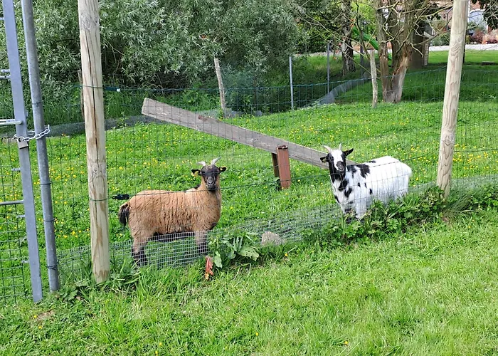 Monts De Flandre Insolite * Berthen