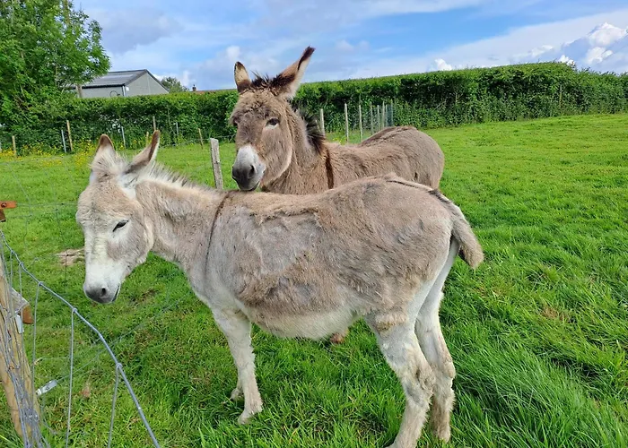 Monts De Flandre Insolite